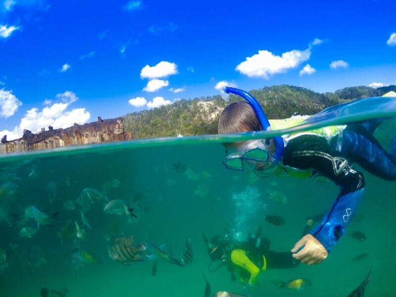 Moreton Island: Tangalooma Day Trip with Snorkeling Tour - Key Points