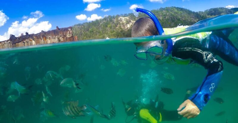 Moreton Island: Tangalooma Day Trip with Snorkeling Tour - The Pros