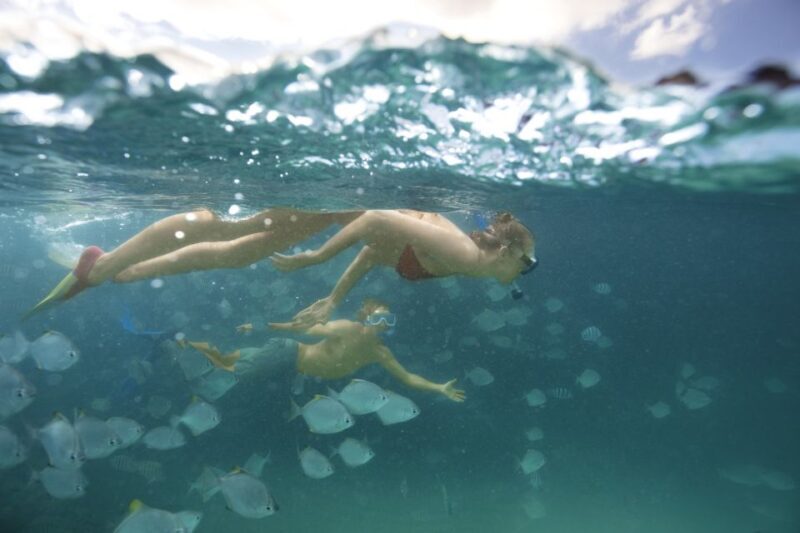 Moreton Island: Tangalooma Day Trip with Snorkeling Tour - The Cons