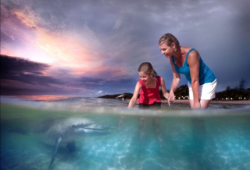 Moreton Island: Tangalooma Snorkeling Tour & Dolphin Feeding - Meeting the Dolphins: An Ethical Encounter