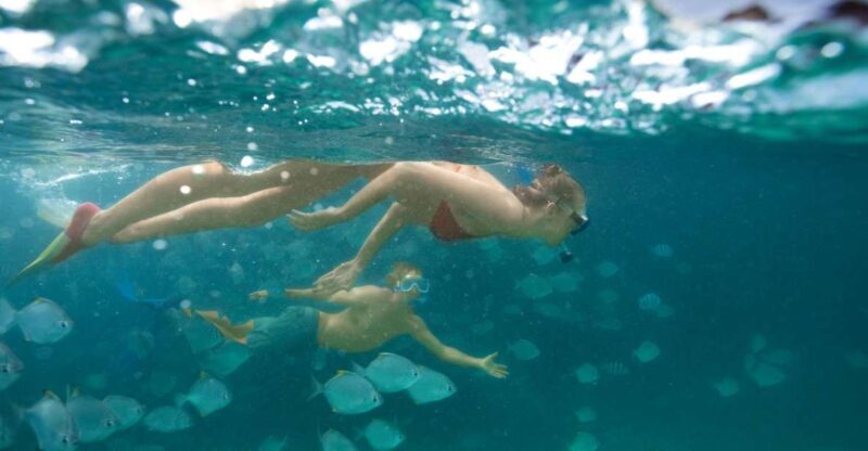 Moreton Island: Tangalooma Snorkelling with Dolphin Viewing - FAQ