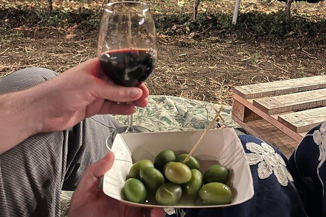 morigine-wine-lovers-aperitif-in-the-vineyard-at-sunset