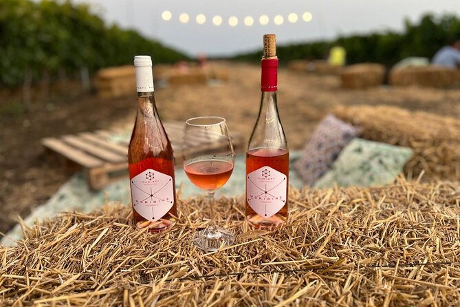 morigine-wine-lovers-aperitif-in-the-vineyard-at-sunset