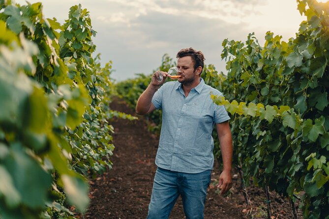 morigine-wine-lovers-aperitif-in-the-vineyard-at-sunset
