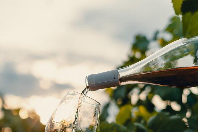 morigine-wine-lovers-aperitif-in-the-vineyard-at-sunset