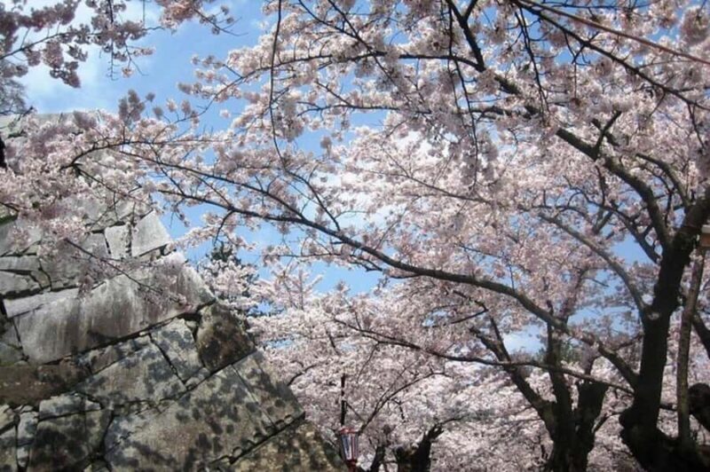 Morioka: Private Guided Tour with Government-Licensed Guide - The Practicalities: Durations, Costs, and Logistics