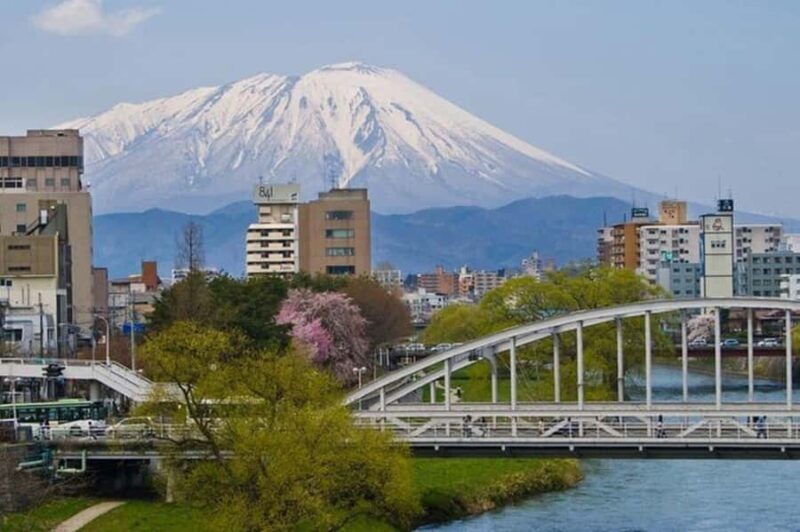 Morioka: Private Guided Tour with Government-Licensed Guide - The Sum Up