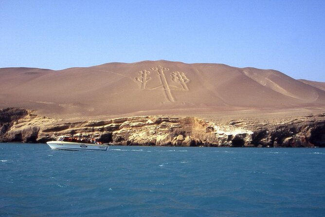 morning-ballestas-island-tour-from-paracas-with-entrances
