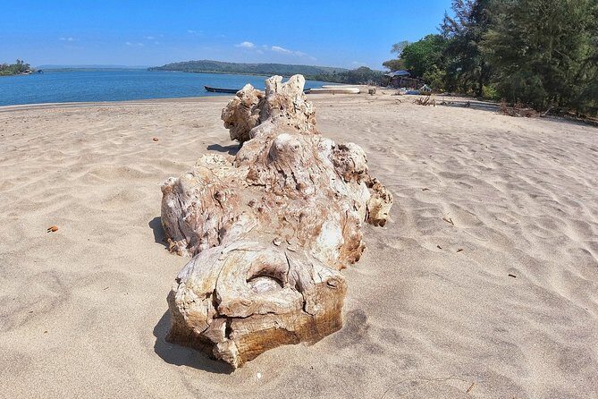 Morning Beach Hopping on Bike with Breakfast - What Makes This Tour Stand Out?