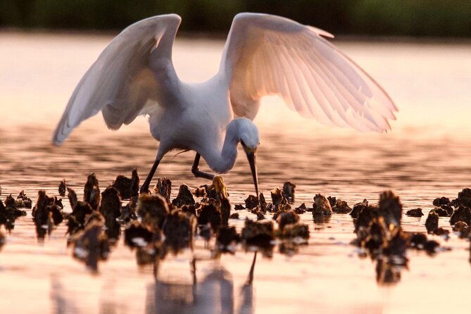 morning-beaufort-river-tour