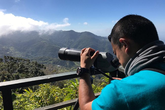 morning-birdwatching-experience-small-groups