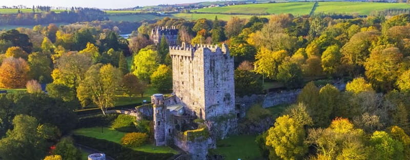 Morning Blarney Castle & Kinsale Half Day Tour from Cork - Key Points