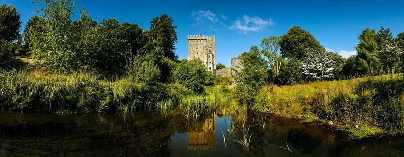Morning Blarney Castle & Kinsale Half Day Tour from Cork - Why This Tour Works Well for You