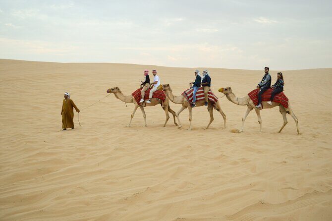 Morning Camel Safari Tour with Breakfast - Key Points