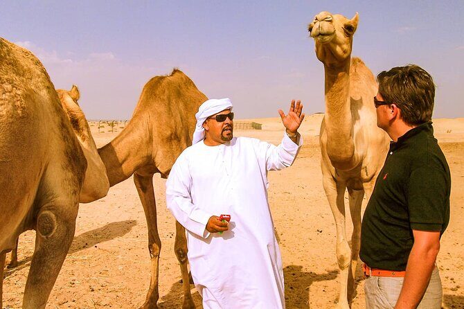 Morning Camel Safari Tour with Breakfast - What to Expect on This Tour