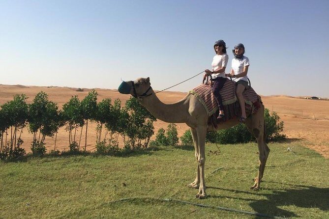 Morning Camel Trekking Over the Red Sand Dunes - Why Choose This Tour?