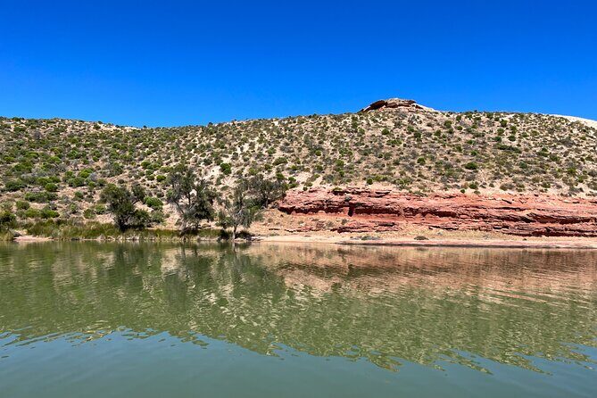 Morning Cruise on the Murchison River in Kalbarri (April to Nov) - An In-Depth Look at the Kalbarri Murchison River Cruise