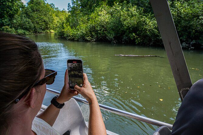 Morning Daintree Tour with River Cruise from Port Douglas - Final Thoughts: Is This Tour for You?