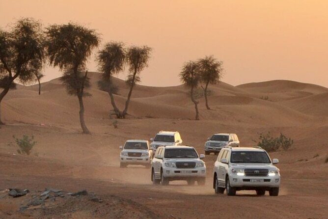 Morning Desert Dune Drive with Quad Bike Experience - Who Should Book This Tour?