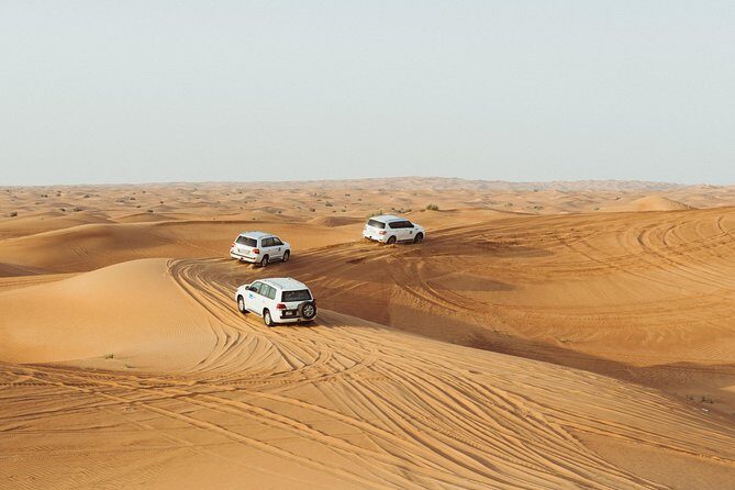 Morning Desert Safari - Who Should Consider This Tour?