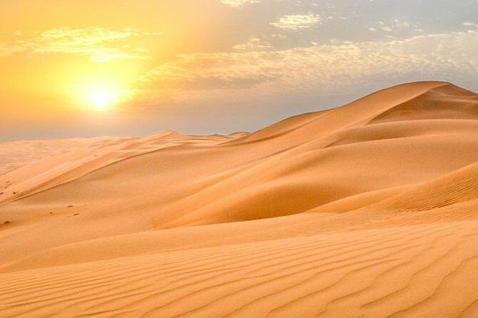 Morning Desert Safari - Price and Value