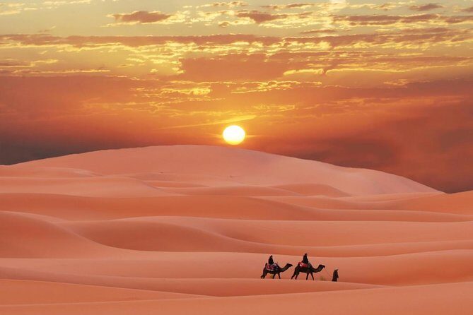 Morning Desert Safari Abu Dhabi with Camel Ride - The Itinerary: What to Expect from Start to Finish