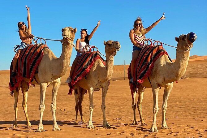 Morning Desert Safari Dubai:Red Dunes Desert,Camel Ride,Sand Boarding (Private) - A Closer Look at the Experience