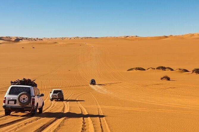 Morning Desert Safari plus Quad Bike, Sandboard and Camel ride - An In-Depth Look at the Experience