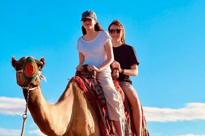 Morning Desert Safari Tour With Dune Bashing & Camel Ride - Final Thoughts: The Tour’s Best Features