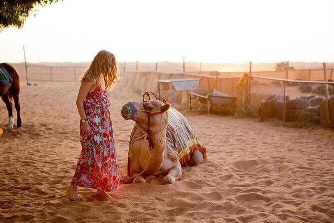 Morning Desert Safari With 20-Minutes Camel Ride - Introduction