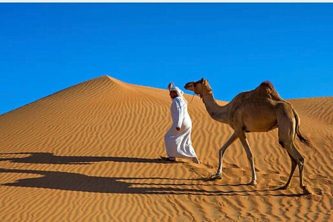 Morning Desert Safari with Camel Ride and Quad Bike - Practical Tips for Your Desert Safari