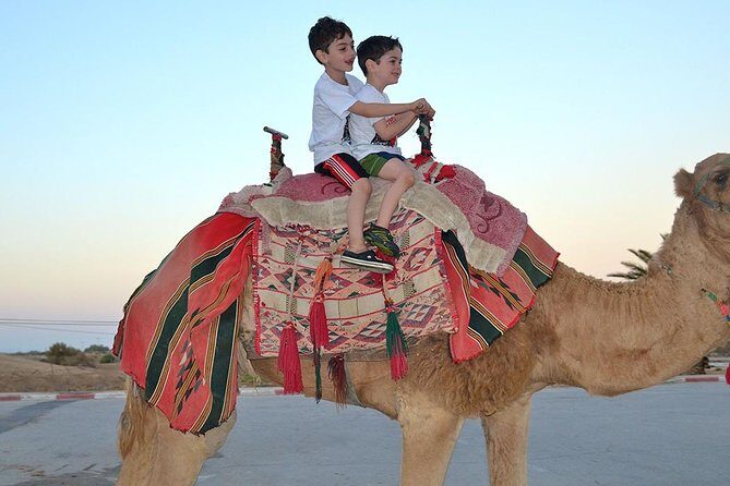 Morning Desert Safari with Camel Ride and Sand boarding - Dune Bashing: The Heart of the Adventure