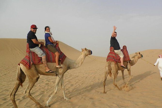 Morning Desert Safari With Camel Trekking - Who is This Tour Best For?