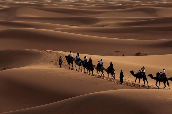 Morning Desert Safari with Dune Bashing and Sand Boarding - Key Points