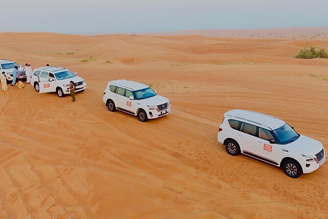 Morning Desert Safari with Dune Bashing & Camel Ride - FAQ