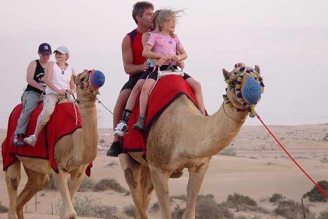 Morning Desert Safari with Quad Bike - Pricing and Overall Value