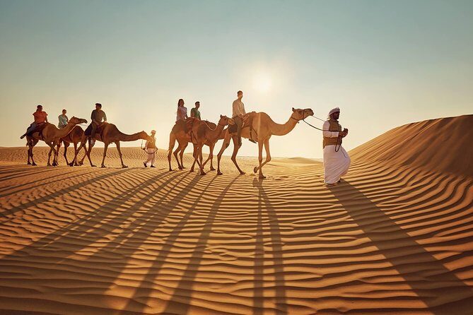 Morning Desert Safari with Quad Bike Tour Abu Dhabi - Frequently Asked Questions (FAQs)  