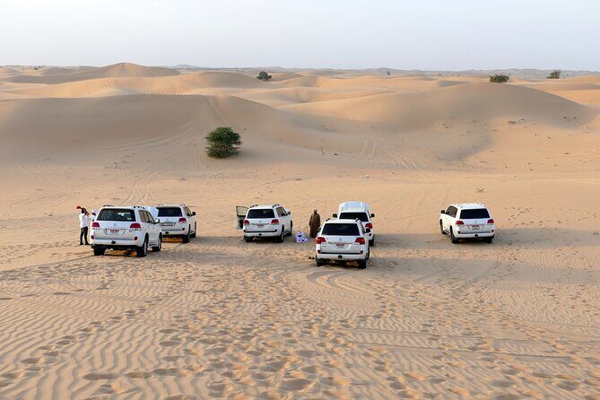 Morning Desert Safari with Quad Bike Tours - Key Points