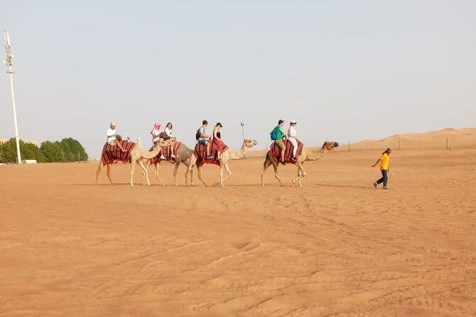 Morning Desert Safari With Quad Biking, Camel Riding and Dune Bashing - Frequently Asked Questions
