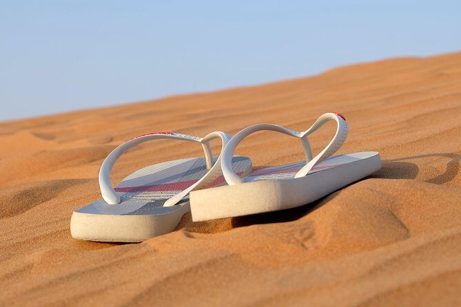 Morning Desert Safari with Sand boarding & Camel RideTour - Key Points