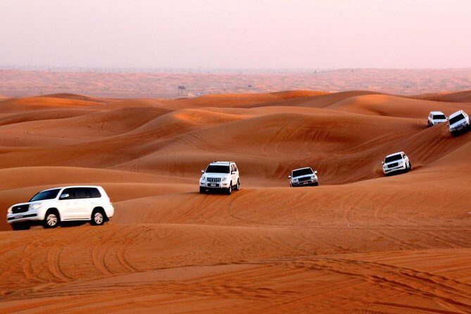 Morning Dubai Desert Dune Bashing and Camel Ride - Practical Details & What to Expect