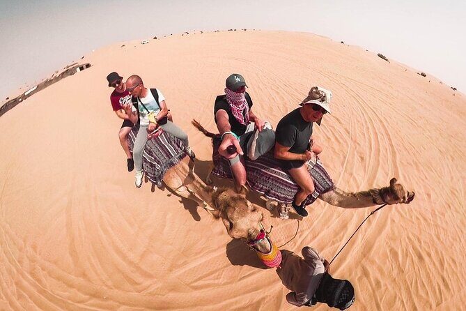 Morning Dune Bashing, Including Camel Riding and Sand Boarding from Dubai - Who’s This Tour Best For?