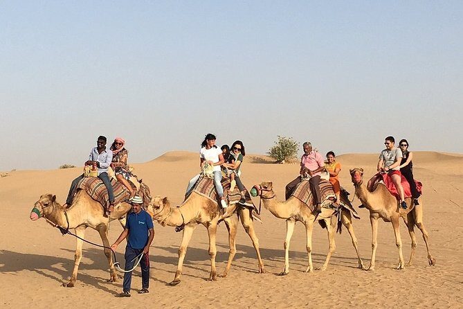Morning Dune Bashing, Including Camel Riding and Sand Boarding from Dubai - Final Thoughts