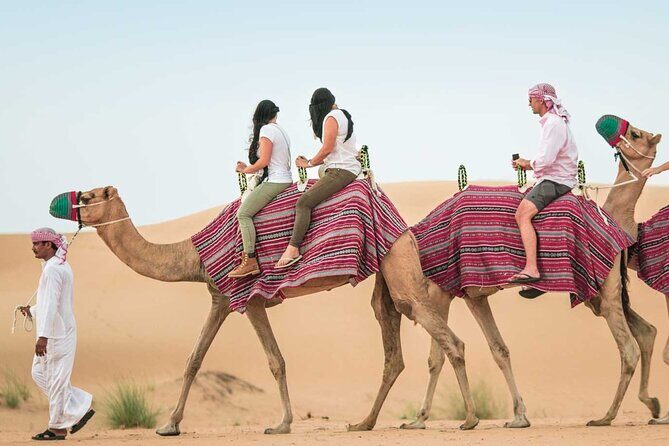 Morning Dune Drive with Sandboarding and Camel Ride - Is It Worth the Price?
