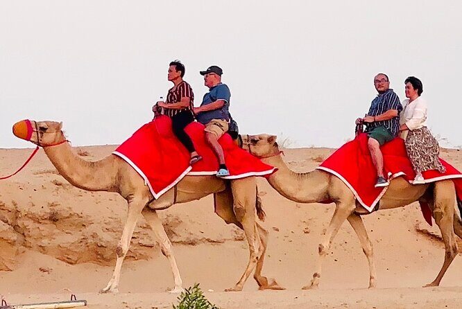 Morning/Evening 4x4 Desert Safari, CamelRide & Sandboarding - Why This Tour Is a Great Pick