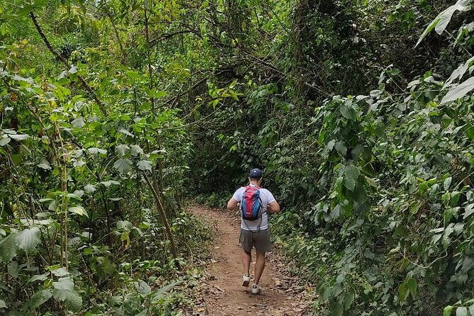 morning-guided-hiking-tour-to-arenal-volcano-with-lunch