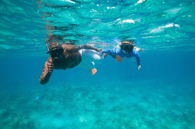 morning-half-day-cruise-from-providenciales-with-snorkeling-and-iguana-island