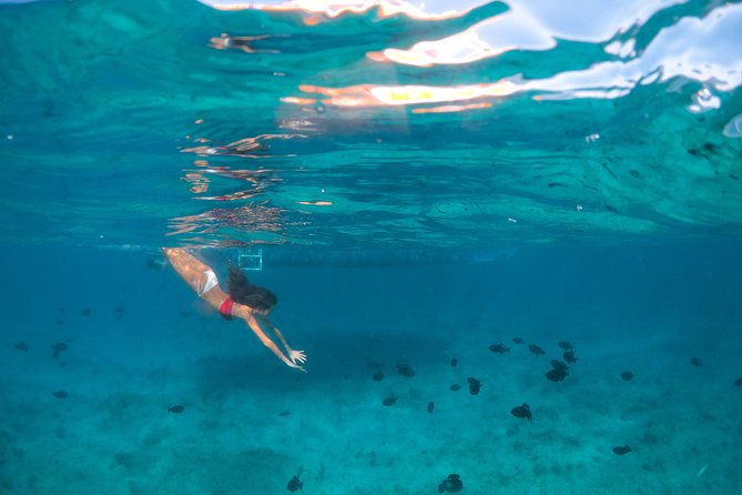 morning-half-day-cruise-from-providenciales-with-snorkeling-and-iguana-island