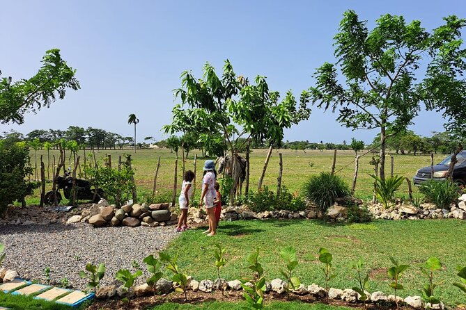morning-horseback-riding-tour-from-punta-cana