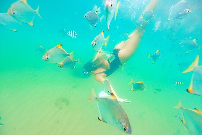 Morning Kayaking and Snorkeling Tour - A Deep Dive into the Experience
